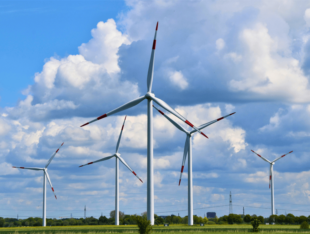 slide3 zaltana meio ambiente consultoria